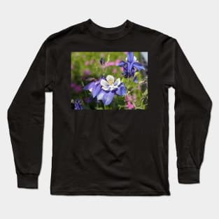 Rocky Mountain Columbine in Meadow Long Sleeve T-Shirt